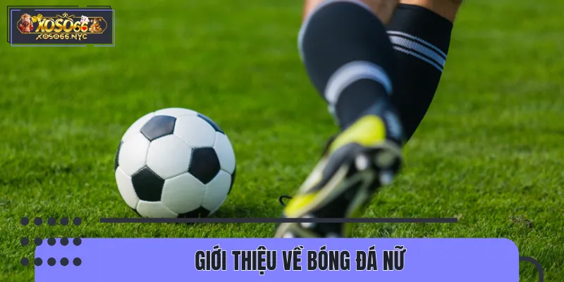 Khái quát nhanh về hình thức bóng đá nữ