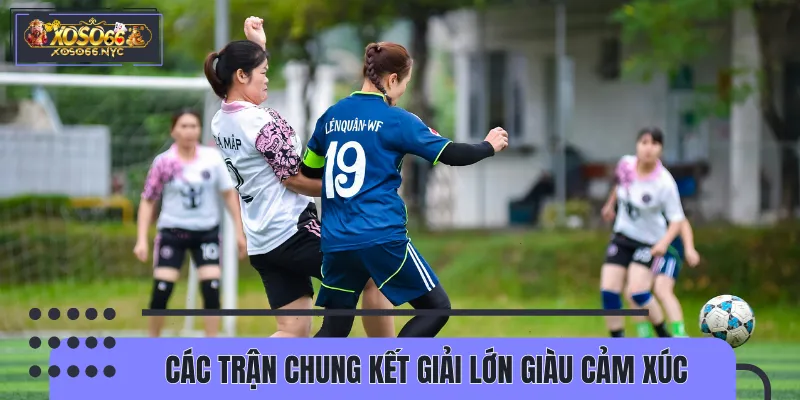 Sức hấp dẫn đỉnh cao từ những trận chung kết lớn