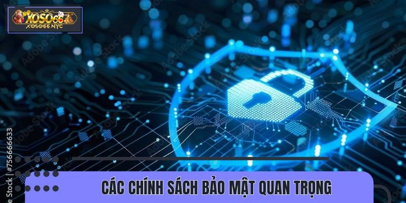 Tổng hợp các nội dung quy tắc bảo mật
