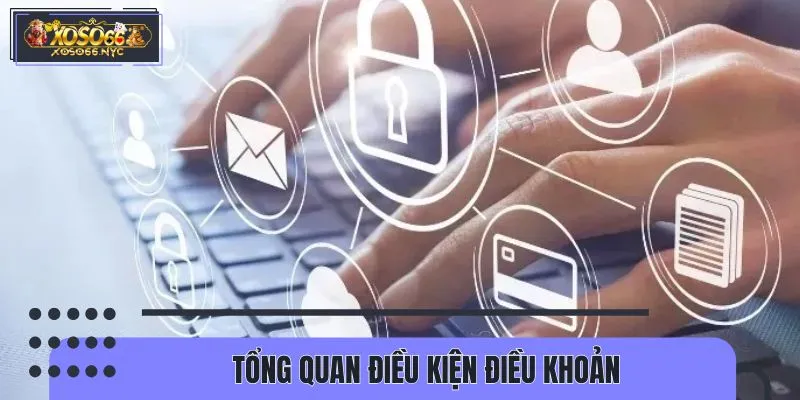 Tìm hiểu điều kiện điều khoản 