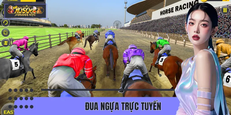 Đua Ngựa Trực Tuyến XOSO66 | Sảnh Cược Đẳng Cấp Số 1 Hiện Nay