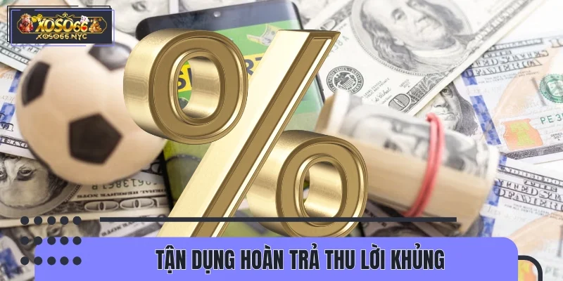 Tận dụng hoàn trả thu lời khủng
