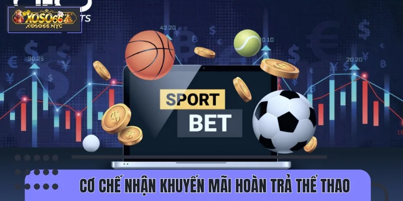 Tìm hiểu cơ chế nhận khuyến mãi hoàn trả thể thao