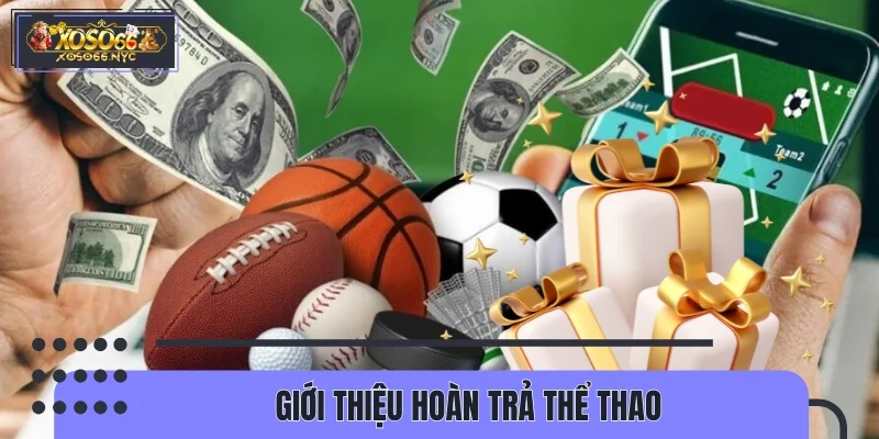 Giới thiệu hoàn trả thể thao