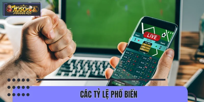 Hướng dẫn soi kèo châu Á với các tỷ lệ phổ biến