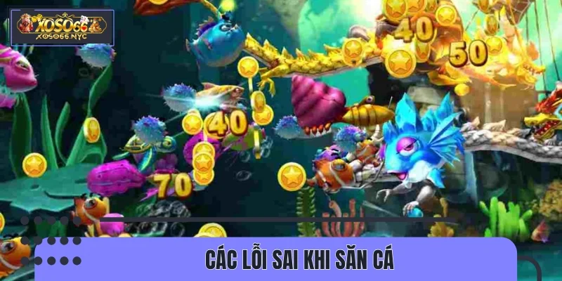 Các lỗi sai khi săn cá cần hạn chế tối đa