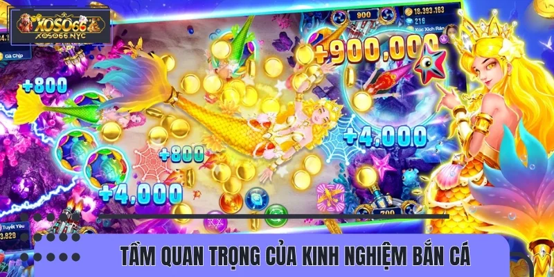Tầm quan trọng của kinh nghiệm bắn cá thắng lớn