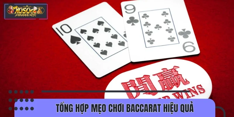 Tổng hợp mẹo chơi Baccarat hiệu quả từ cao thủ