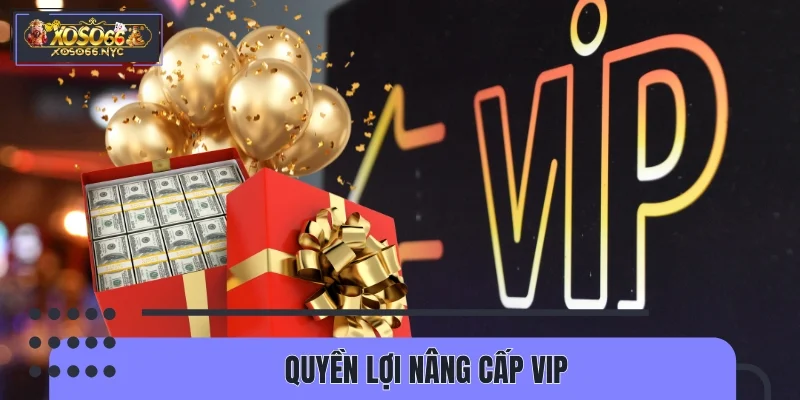 Quyền lợi nâng cấp VIP dành cho hội viên chính thức