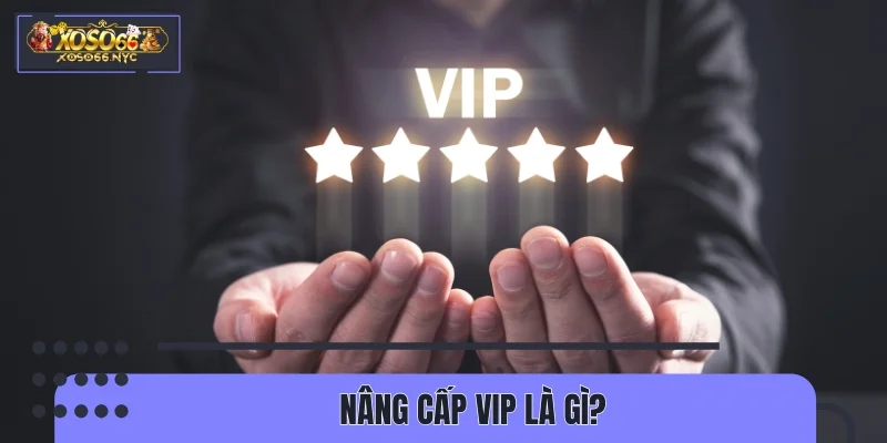 Nâng cấp VIP là gì?