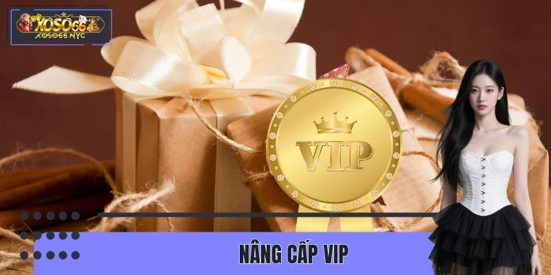 Nâng Cấp VIP XOSO66 – Lộ Trình Thăng Hạng Nhanh, Rõ Ràng