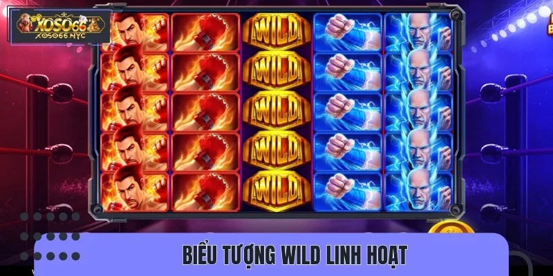 Wild là biểu tượng xuất hiện ở cuộn thứ 3 và 4