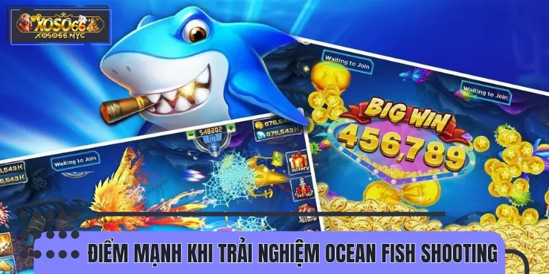 Lý do khiến các cược thủ yêu thích Ocean Fish Shooting