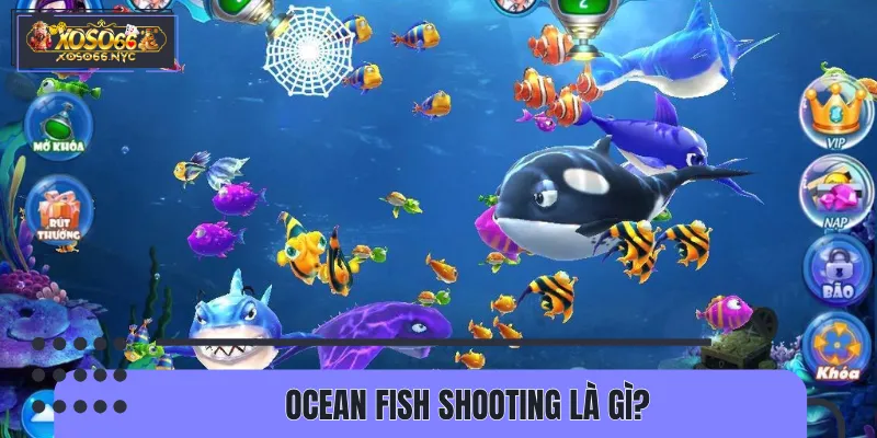 Sơ lược nhanh thông tin về Ocean Fish Shooting