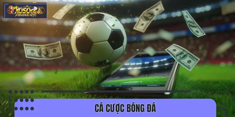 Trải nghiệm bóng đá đỉnh cao với đa dạng các loại kèo