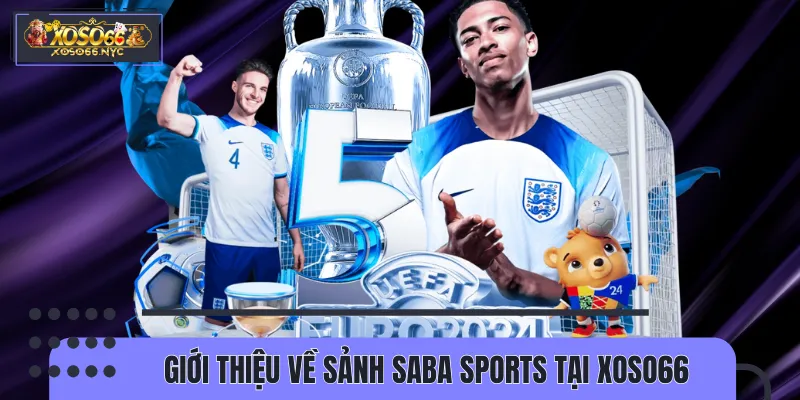 Một số thông tin cơ bản về sảnh Saba Sports.