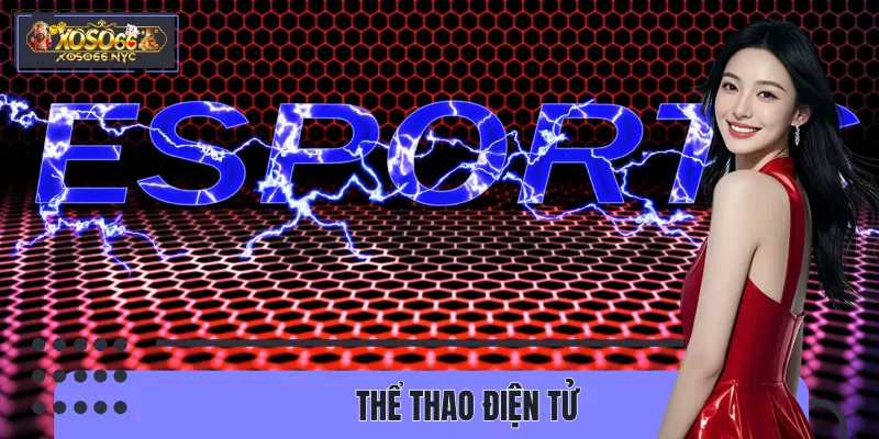Thể Thao Điện Tử – Lựa Chọn Giải Trí Hàng Đầu Của Giới Trẻ