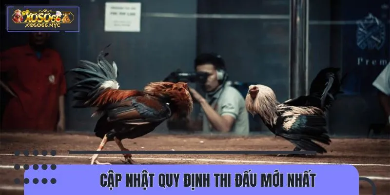 Nắm vững quy định để tham gia cá cược dễ dàng