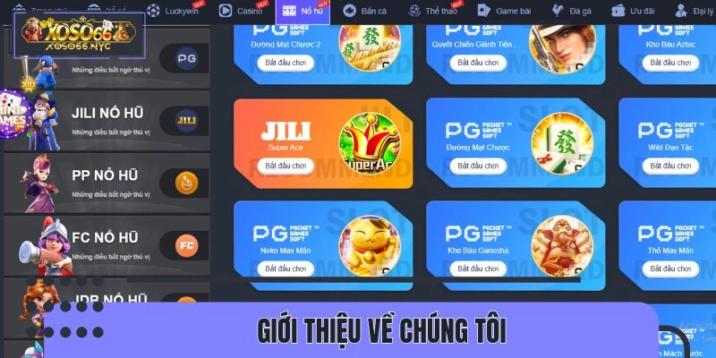 Giới thiệu lịch sử phát triển của nền tảng 