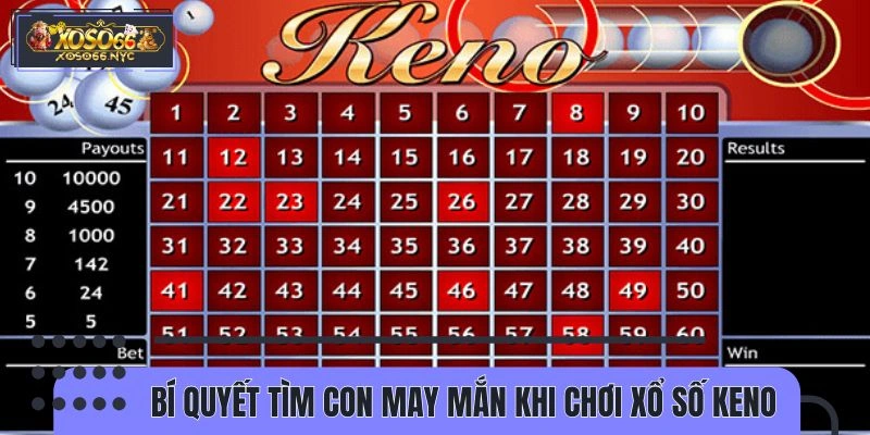 Cách tìm ra kết quả khi trải nghiệm xổ số Keno 